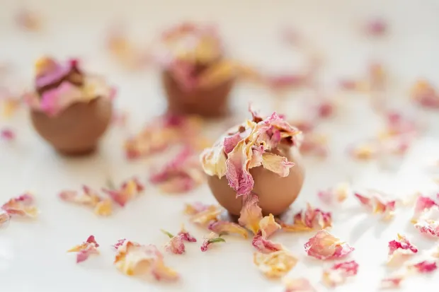 Pedalada10 Kaszinó Android/iOS Alkalmazás